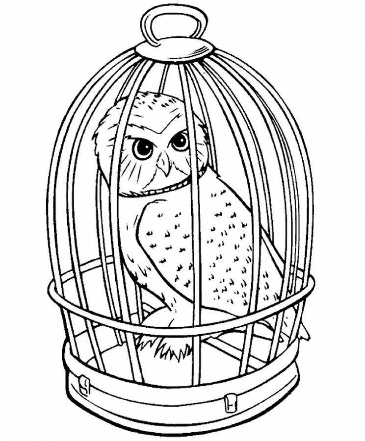 Coloring owl adorable harry potter