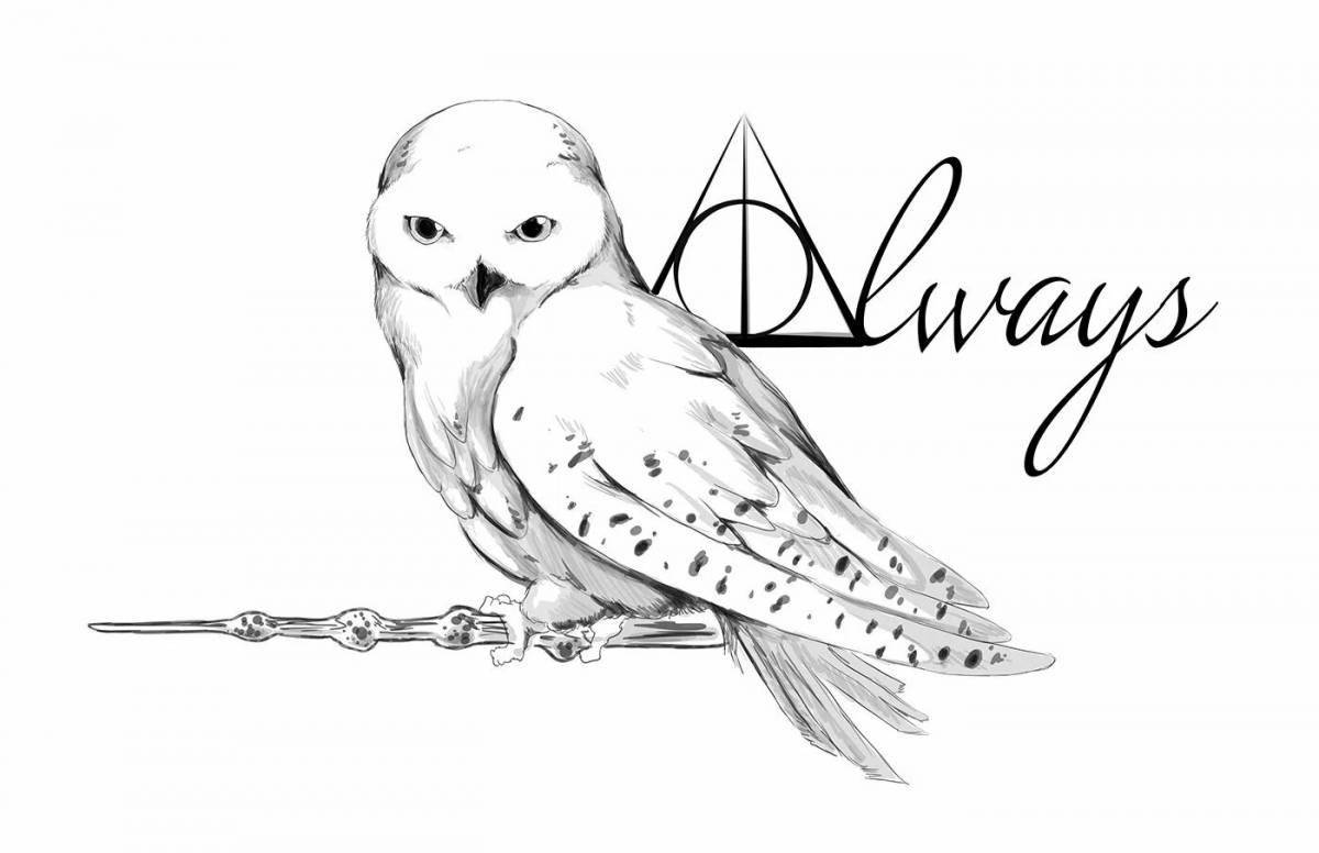 Harry Potter's elegant owl coloring page