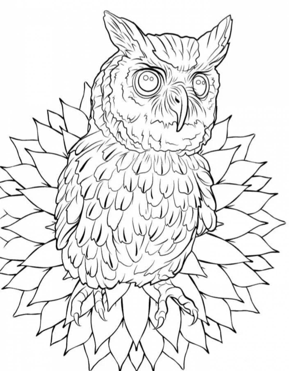 Harry Potter Owl #1