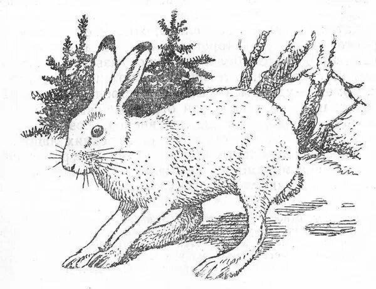 Фото Блестящая раскраска для детей заяц зимой
