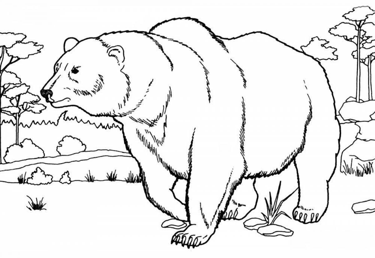 Amazing forest animal coloring pages