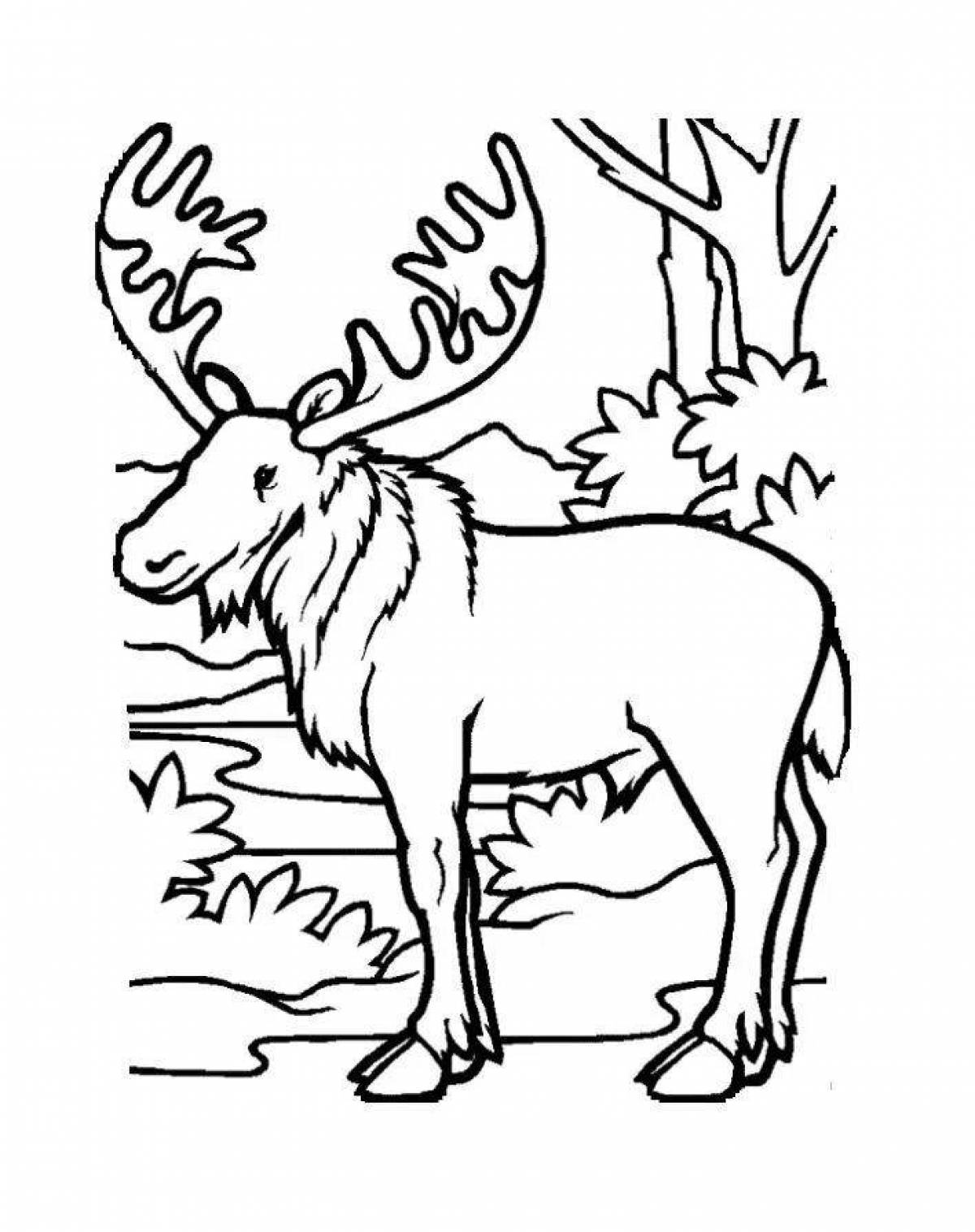 Funny forest animals coloring book