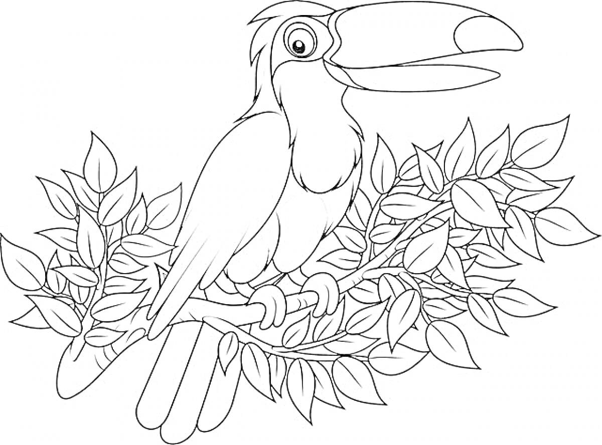 На раскраске изображено: Тукан, Птица, Ветка, Листья, Природа, Тропики, Контурные рисунки