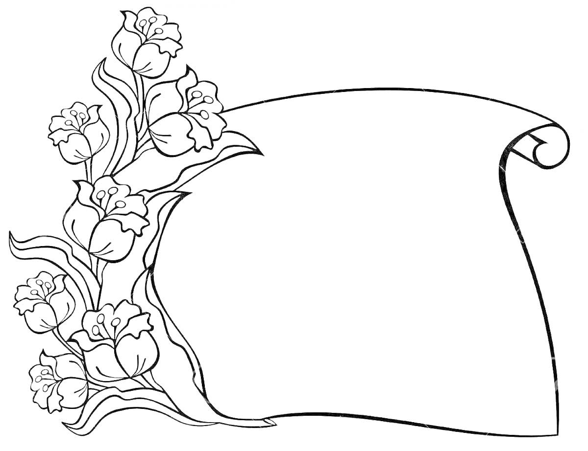 На раскраске изображено: Свиток, Цветы, Тюльпаны, Юбилей