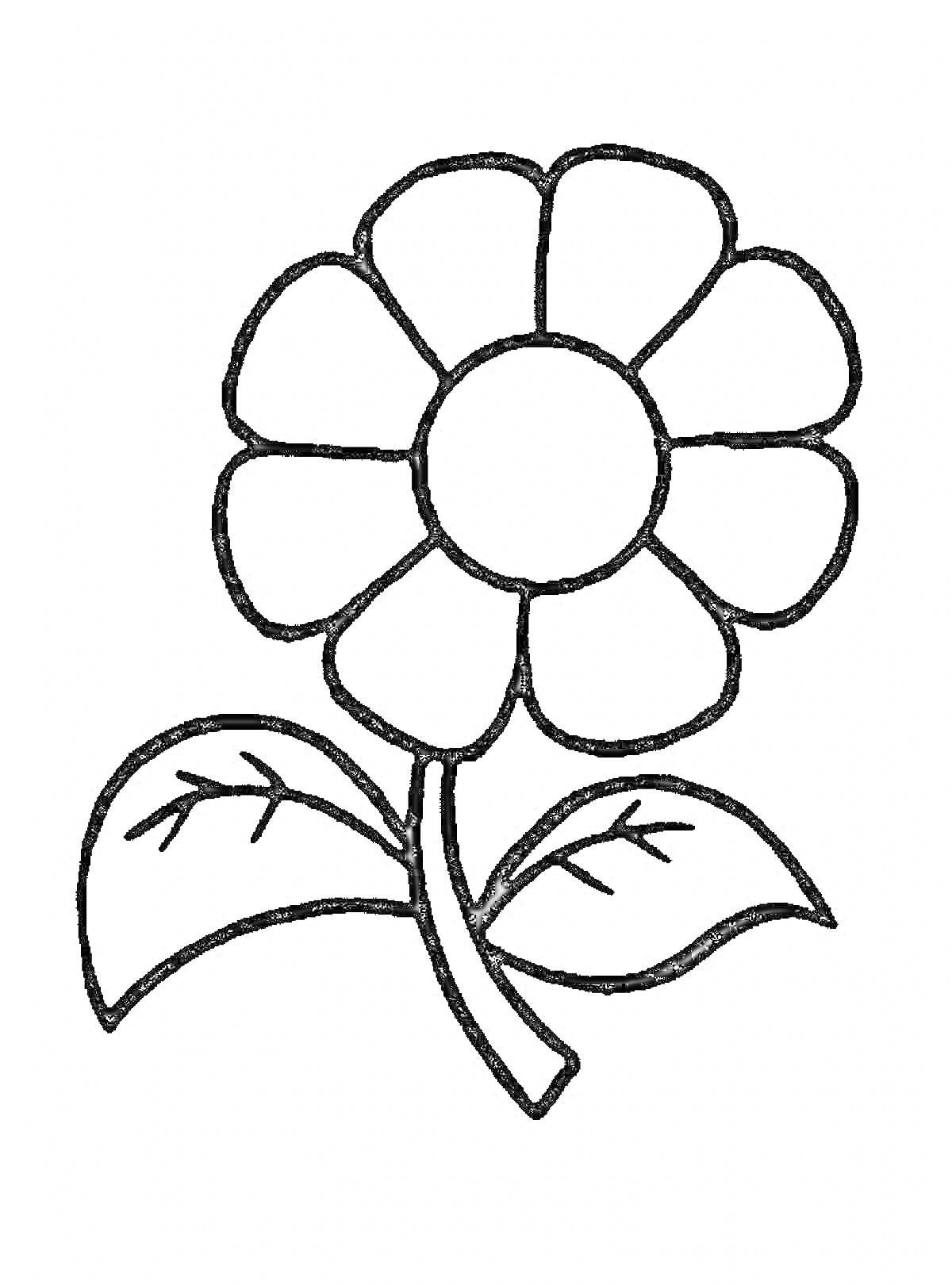Раскраска Двулистный цветок с круглой серединкой и семью лепестками