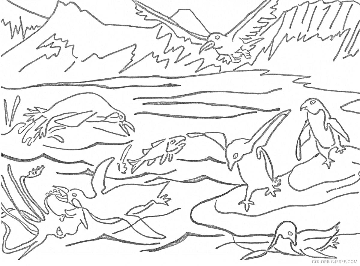 На раскраске изображено: Пингвины, Тюлень, Арктика, Лед, Горы, Природа, Для детей, Рыба, Птица, Животные
