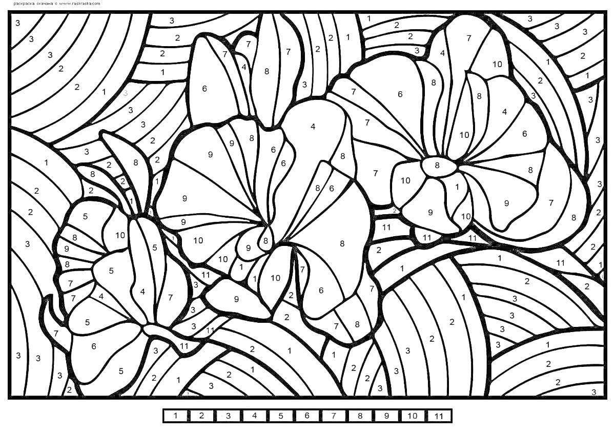 На раскраске изображено: Цветы, Три цветка, По номерам, Полосы, Арт-терапия, Творчество