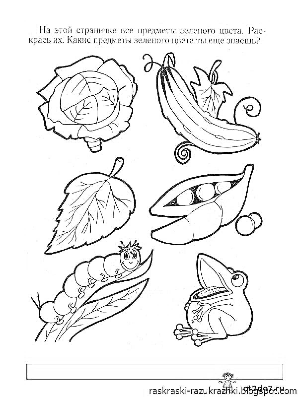На раскраске изображено: Листья, Огурец, Горох, Зеленый, Природа, Растения, Животные, Гусеницы, Лягушки