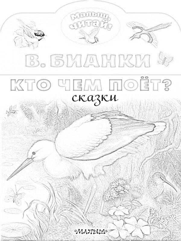 Раскраска бианки