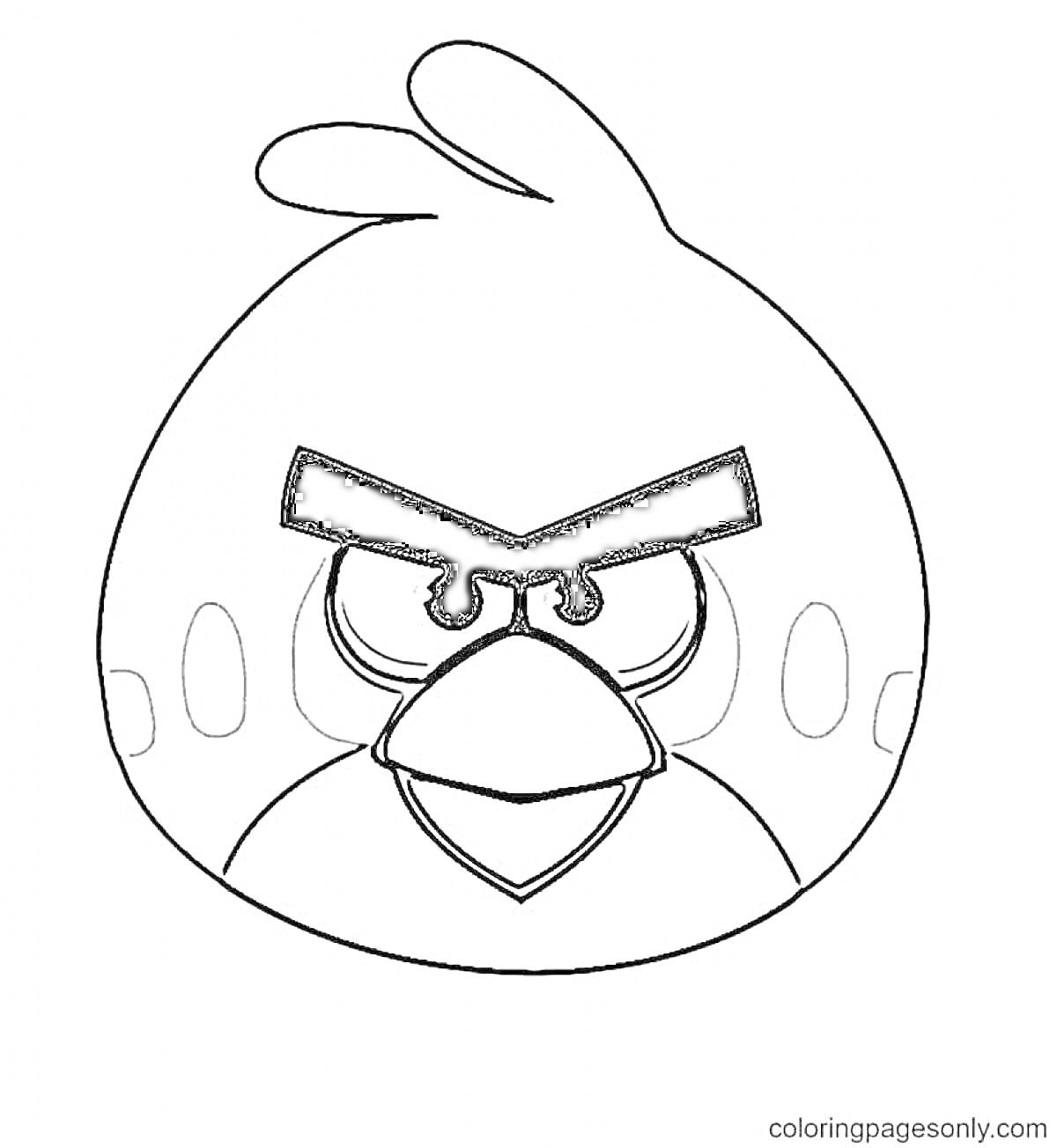 Раскраска Злой птица из игры Angry Birds
