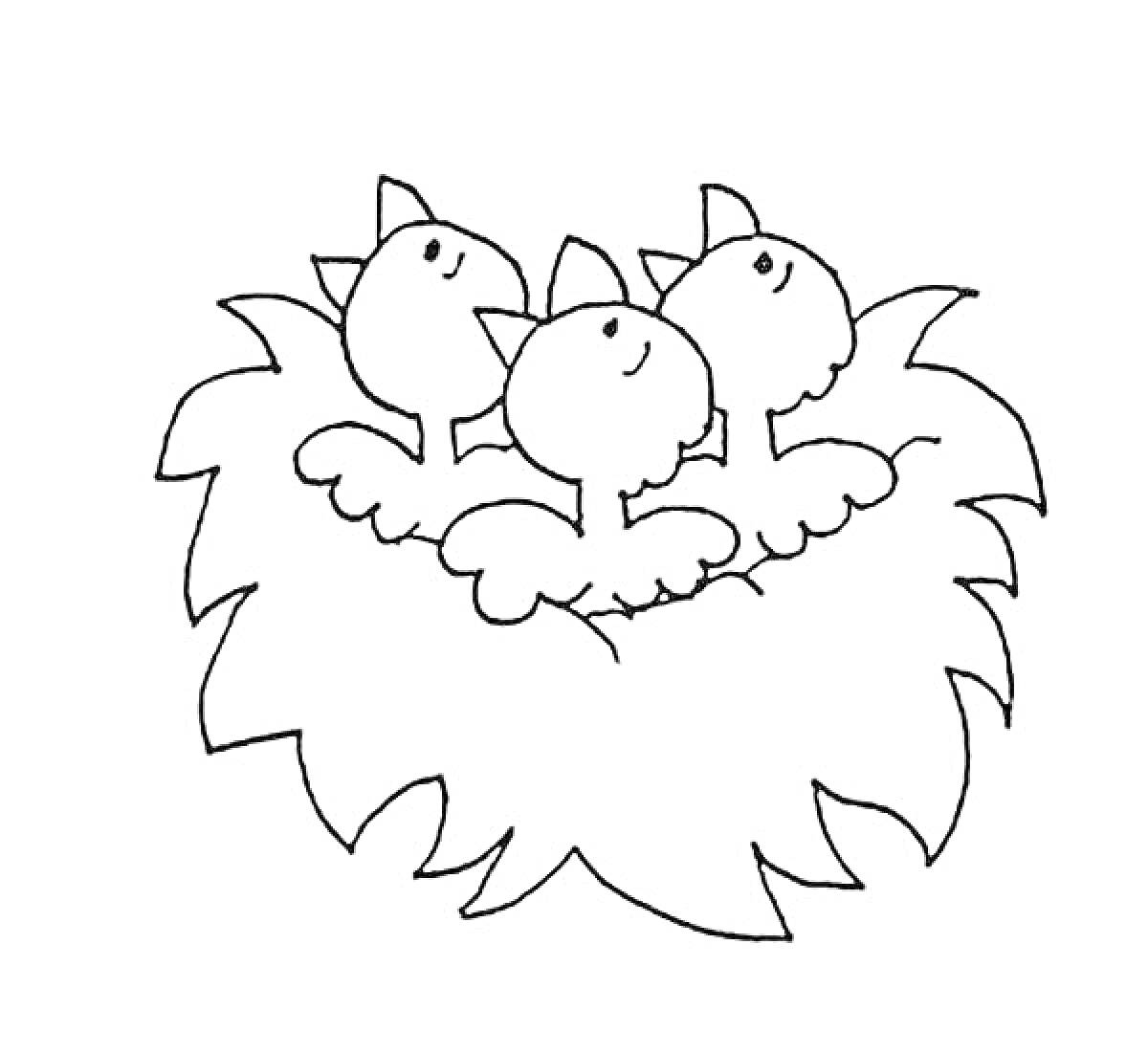 Раскраска Три птенца в гнезде