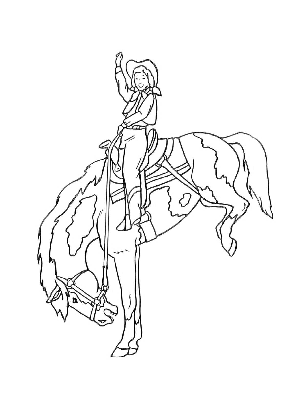 Всадник на лошади с поднятой рукой