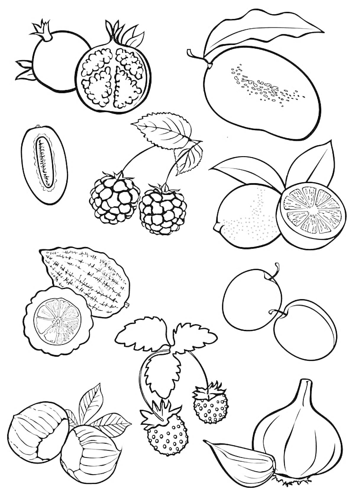 Раскраска Раскраска с изображениями граната, манго, киви, малины, лимона, лайма, личи, абрикоса, фундука и инжира