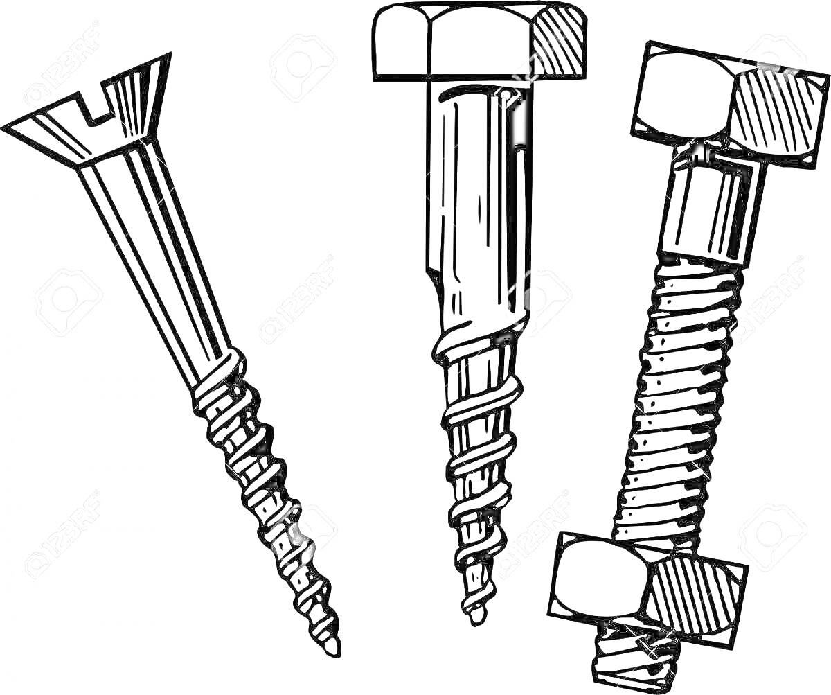 На раскраске изображено: Винт, Крепеж, Металл, Инструмент, Гайка, Резьба