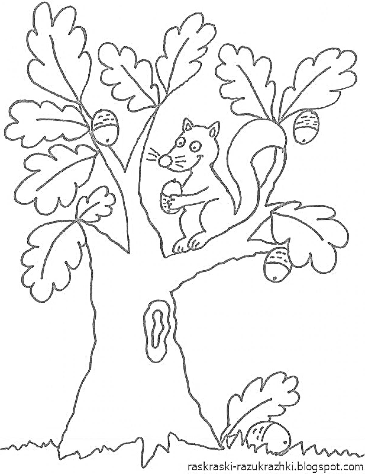 На раскраске изображено: Дуб, Белка, Желуди, Природа, Листья, Трава, Для детей