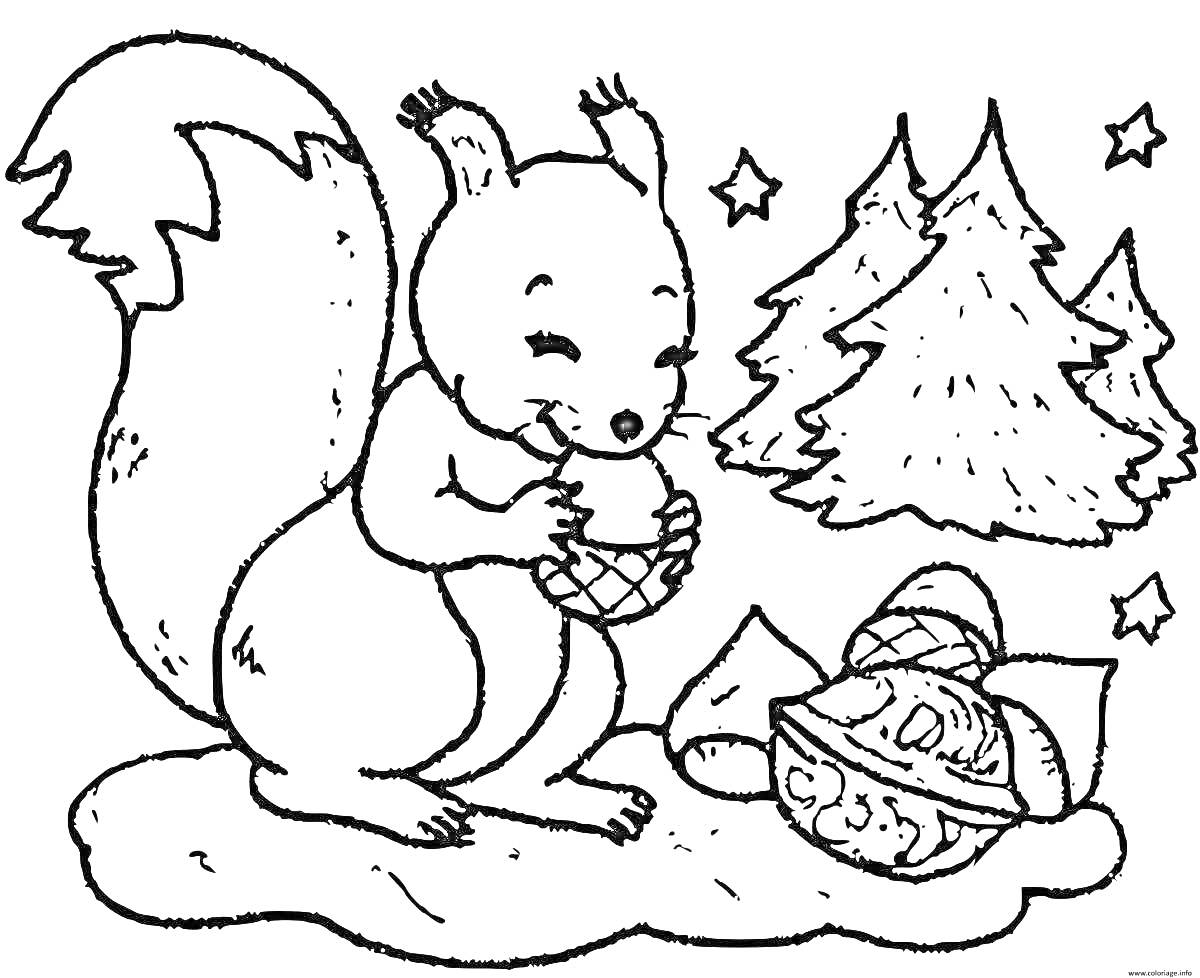 Раскраска Белка с желудем, елки и подарки на снегу
