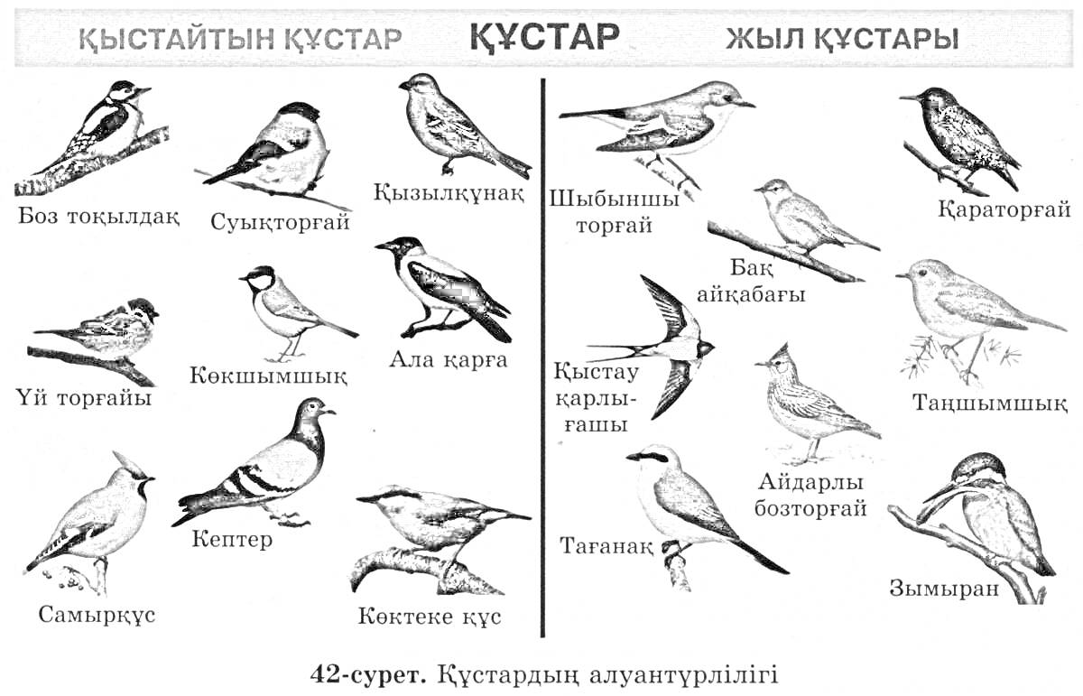 На раскраске изображено: 