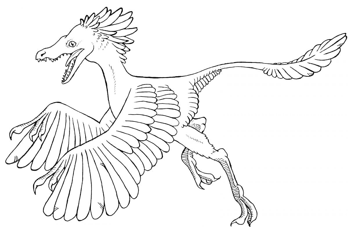 Раскраска Археоптерикс с развернутыми крыльями и пушистым хвостом