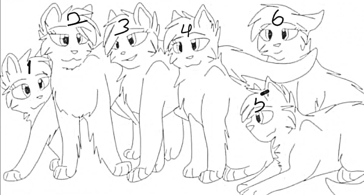 Раскраска Шесть кошек Лана - стоящие и сидящие в разном положении