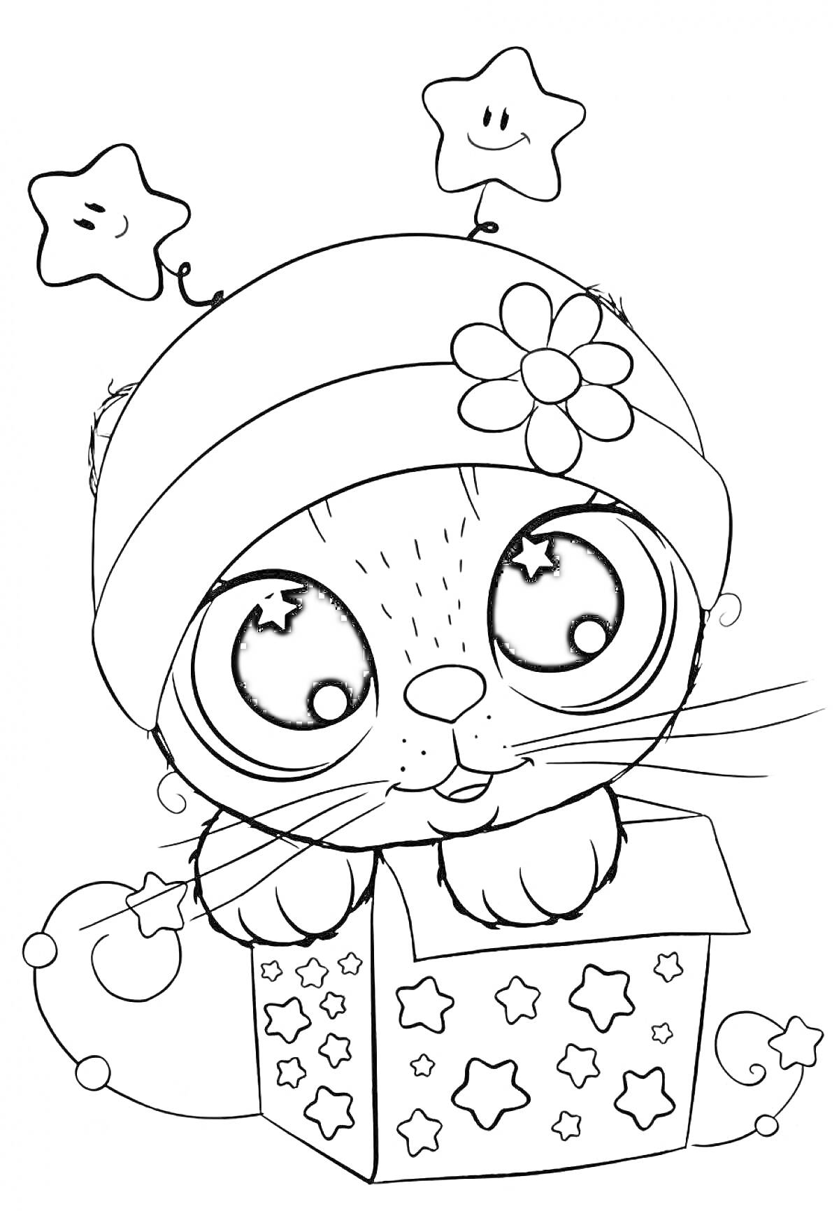 Раскраска Котик в шапке с цветком в ящике со звездами и антеннами-звездочками на голове