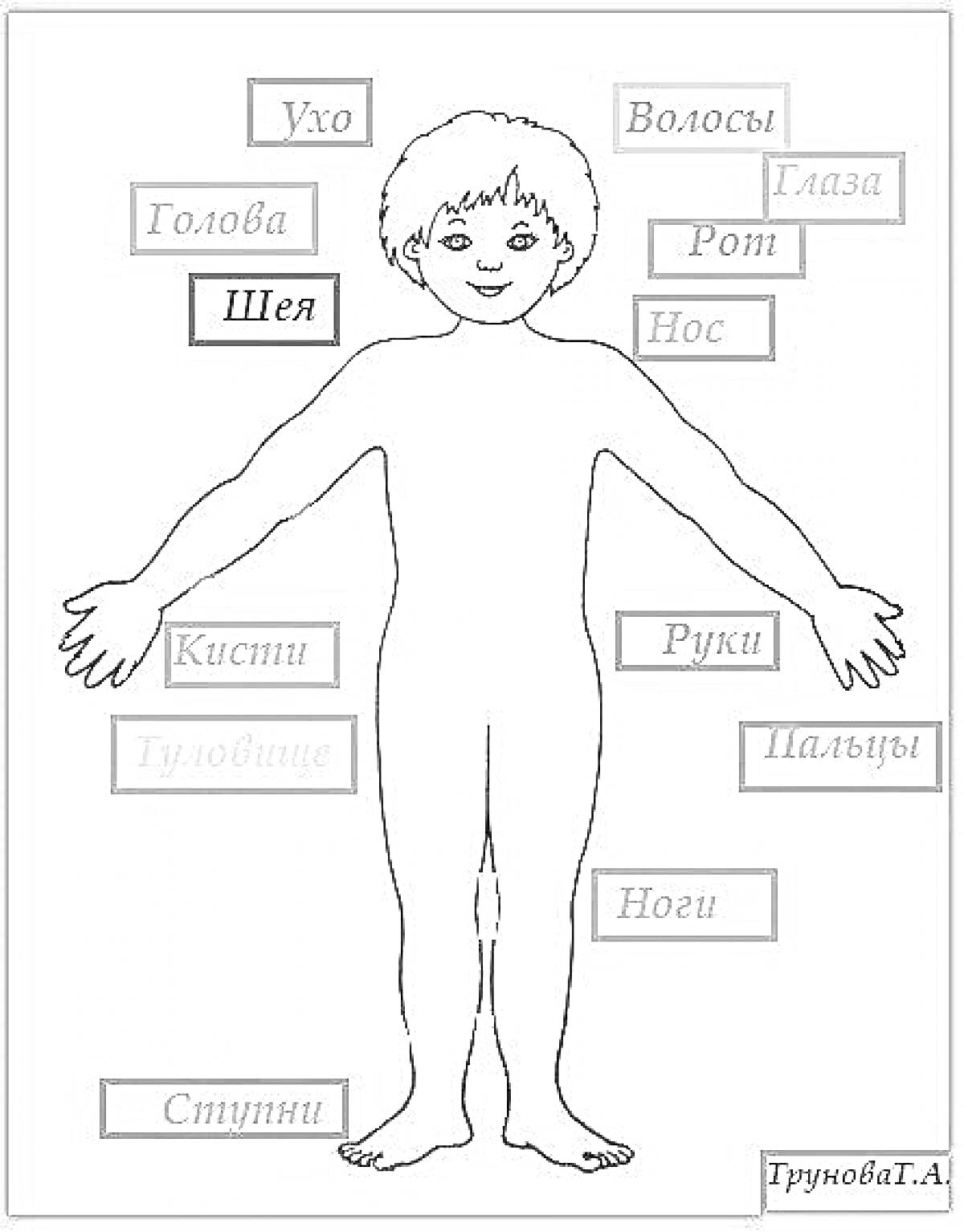 На раскраске изображено: 2 класс, Волосы, Глаза, Ухо, Рот, Нос, Голова, Шея, Туловище, Руки, Пальцы, Кисти, Ноги, Ступни
