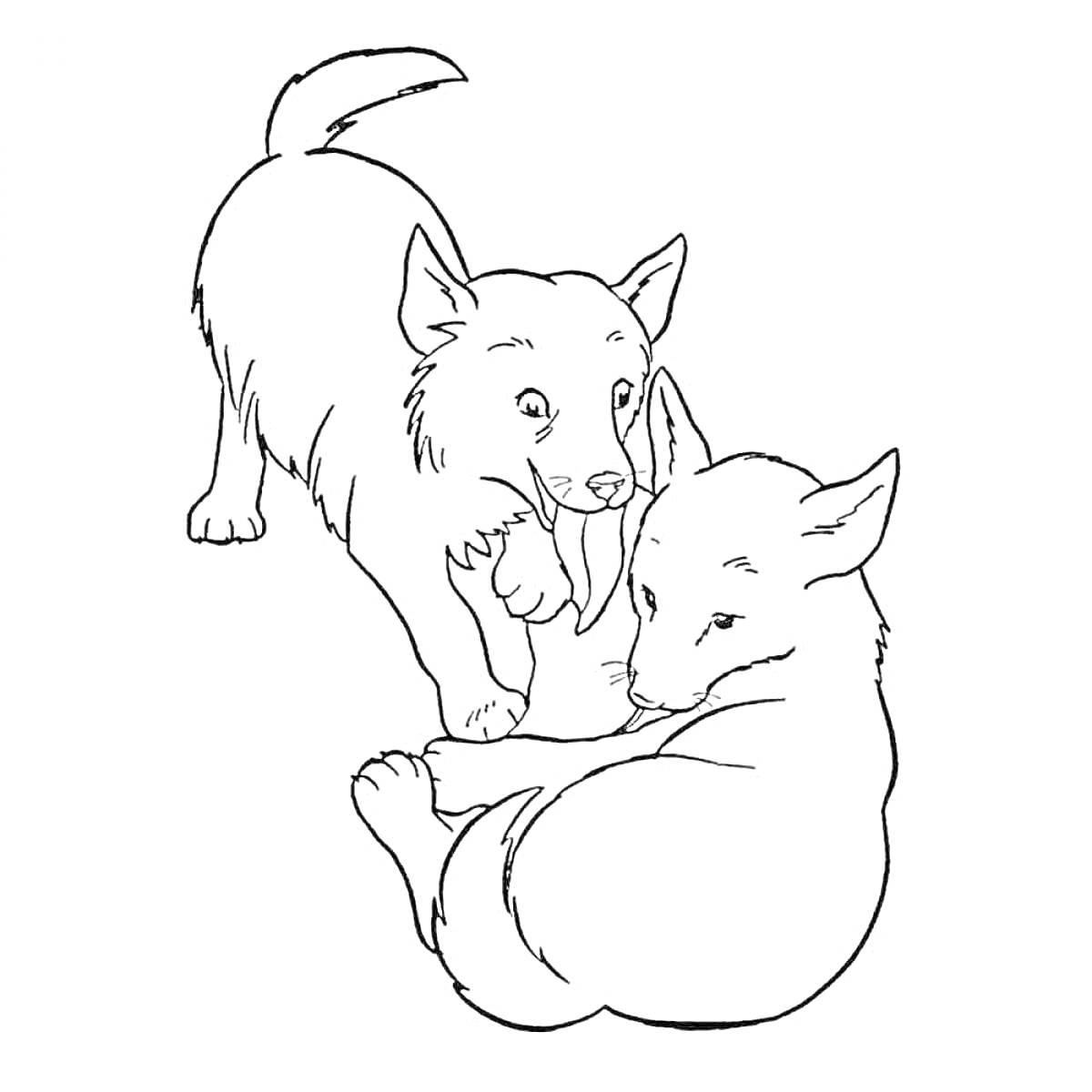 На раскраске изображено: Волчонок, Животные, Лесные животные