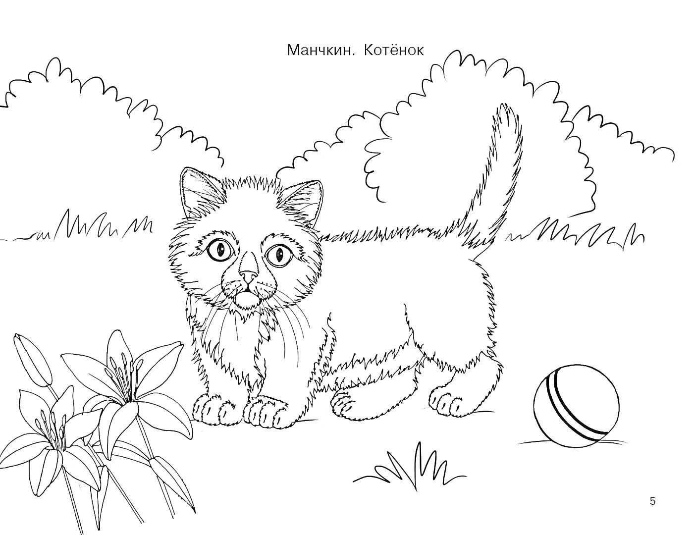 Раскраска Котенок, цветы, мячик, кусты