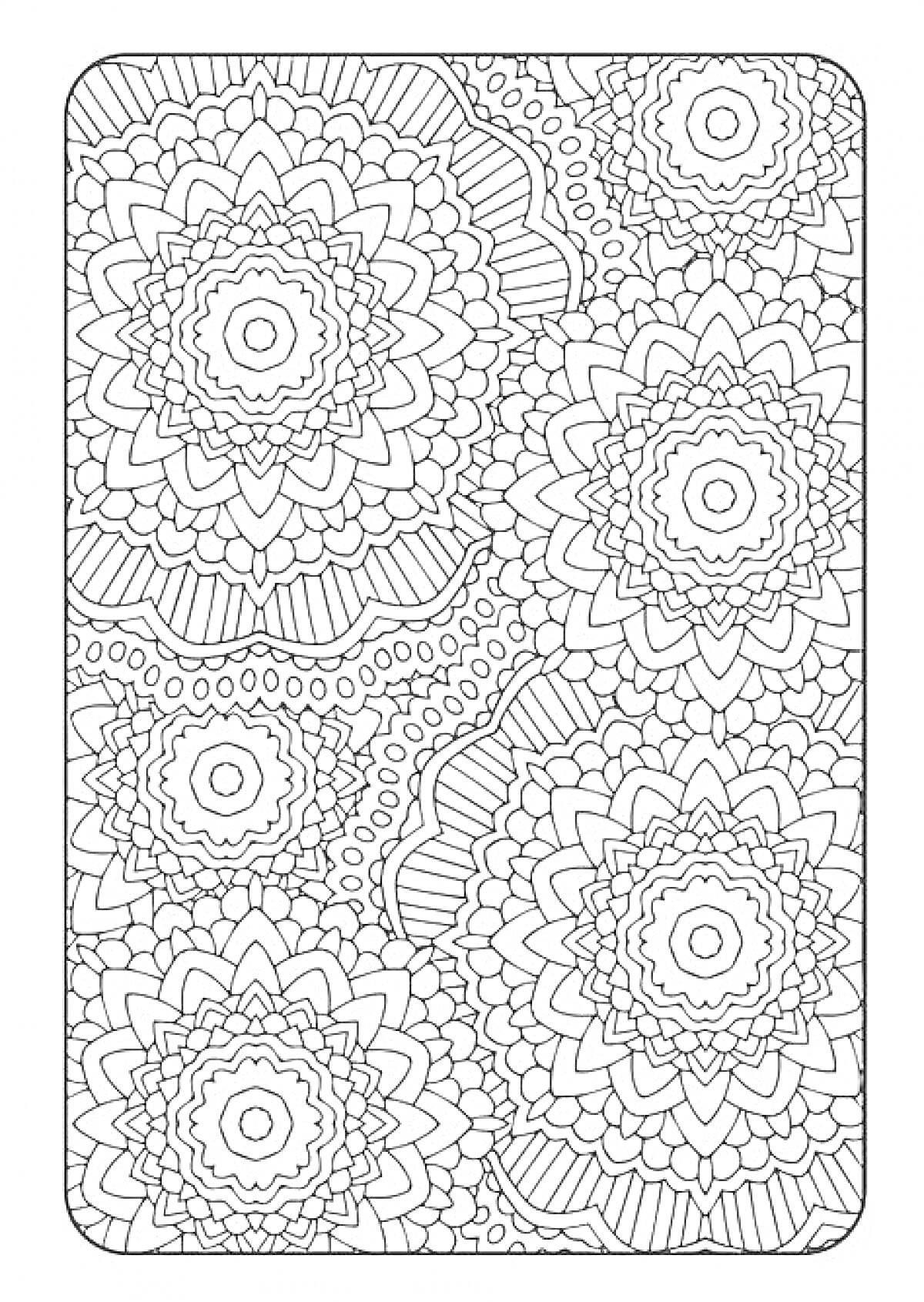 Раскраска Антистресс раскраска с лепестковыми узорами и кружевными цветами