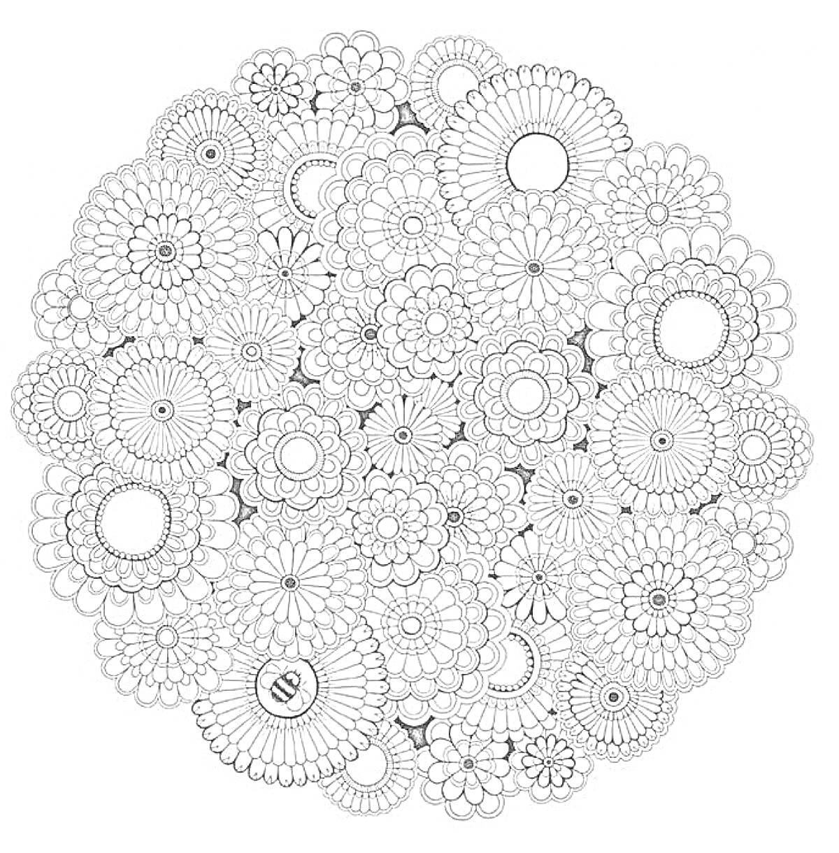 Раскраска Векторная раскраска с кругами и узорами цветков
