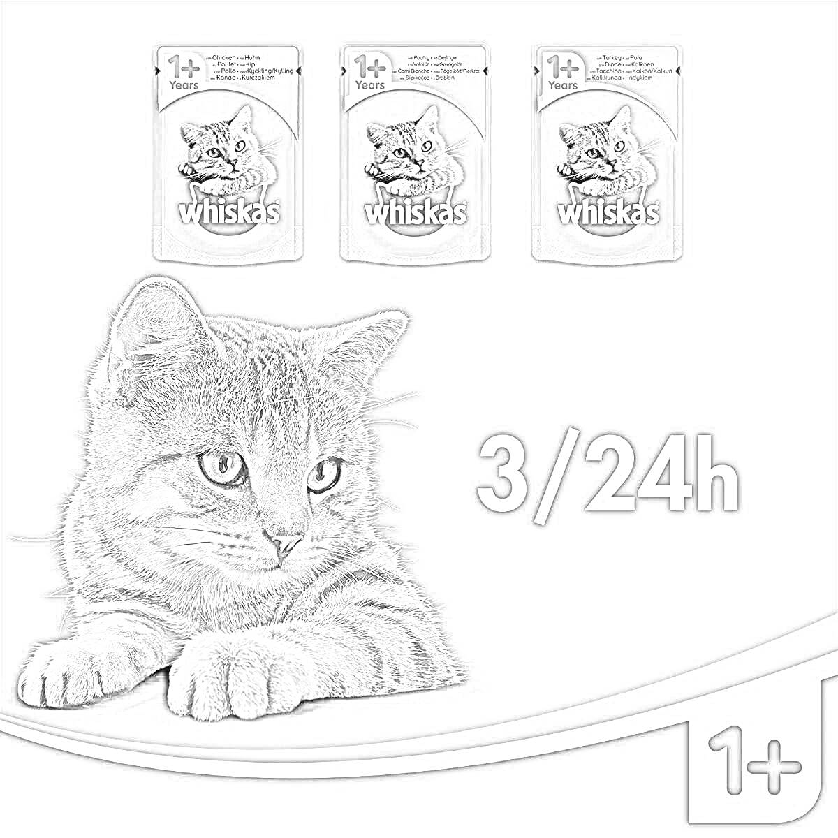 Раскраска Корм для кошек Whiskas, три пакета, лежащий полосатый кот и текст 