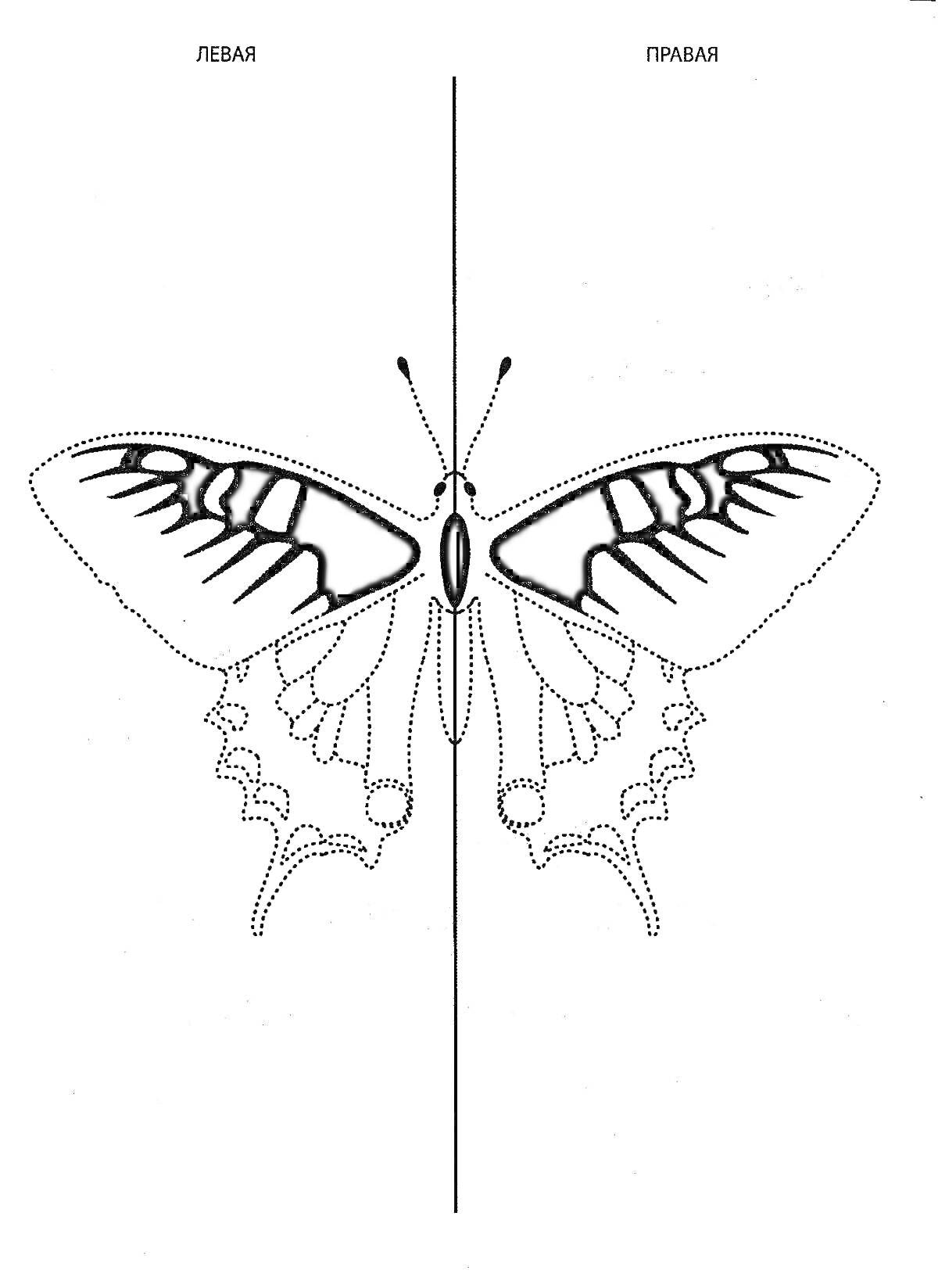 Раскраска Бабочка для раскрашивания двумя руками одновременно (половинки для левой и правой рук)