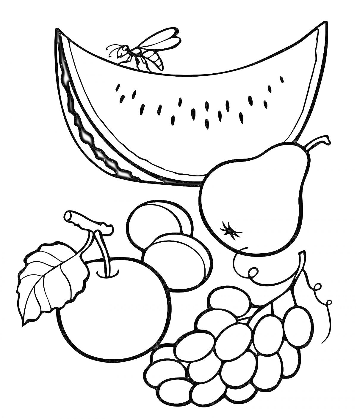 Раскраска арбуз, груша, виноград, персик, вишня, муха
