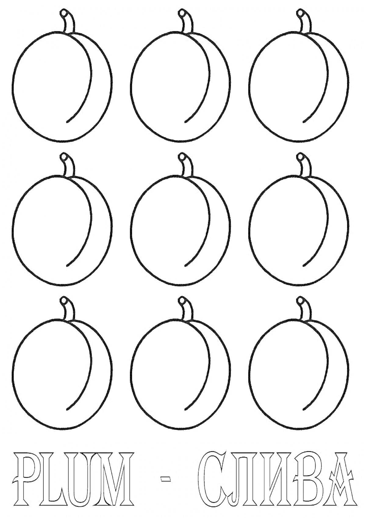 Раскраска Раскраска с девятью контурами слив и надписью 