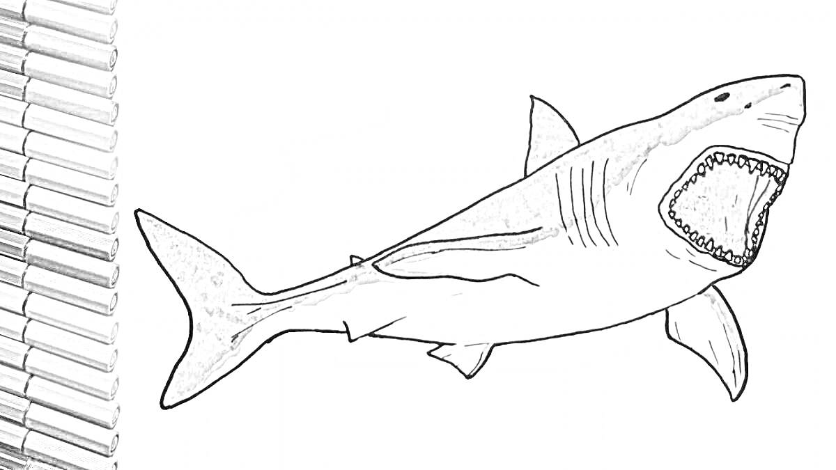 Раскраска раскраска акулы мегалодон, цветные карандаши