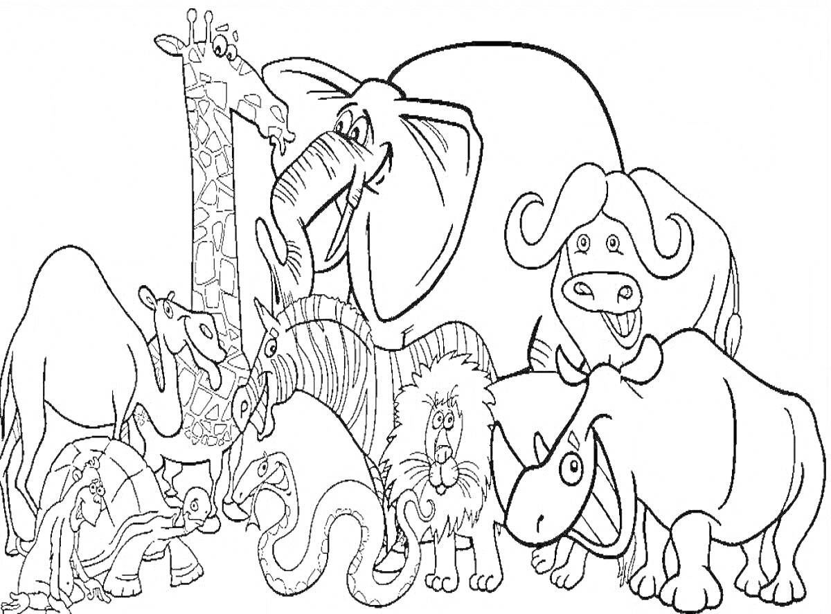 Раскраска Животные зоопарка: жираф, слон, верблюд, лама, лев, бизон, носорог, змея, жаба, черепаха