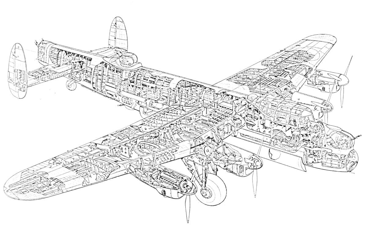 На раскраске изображено: Ту-95, Бомбардировщик, Схема, Разрез, Авиация, Детали, Мотор