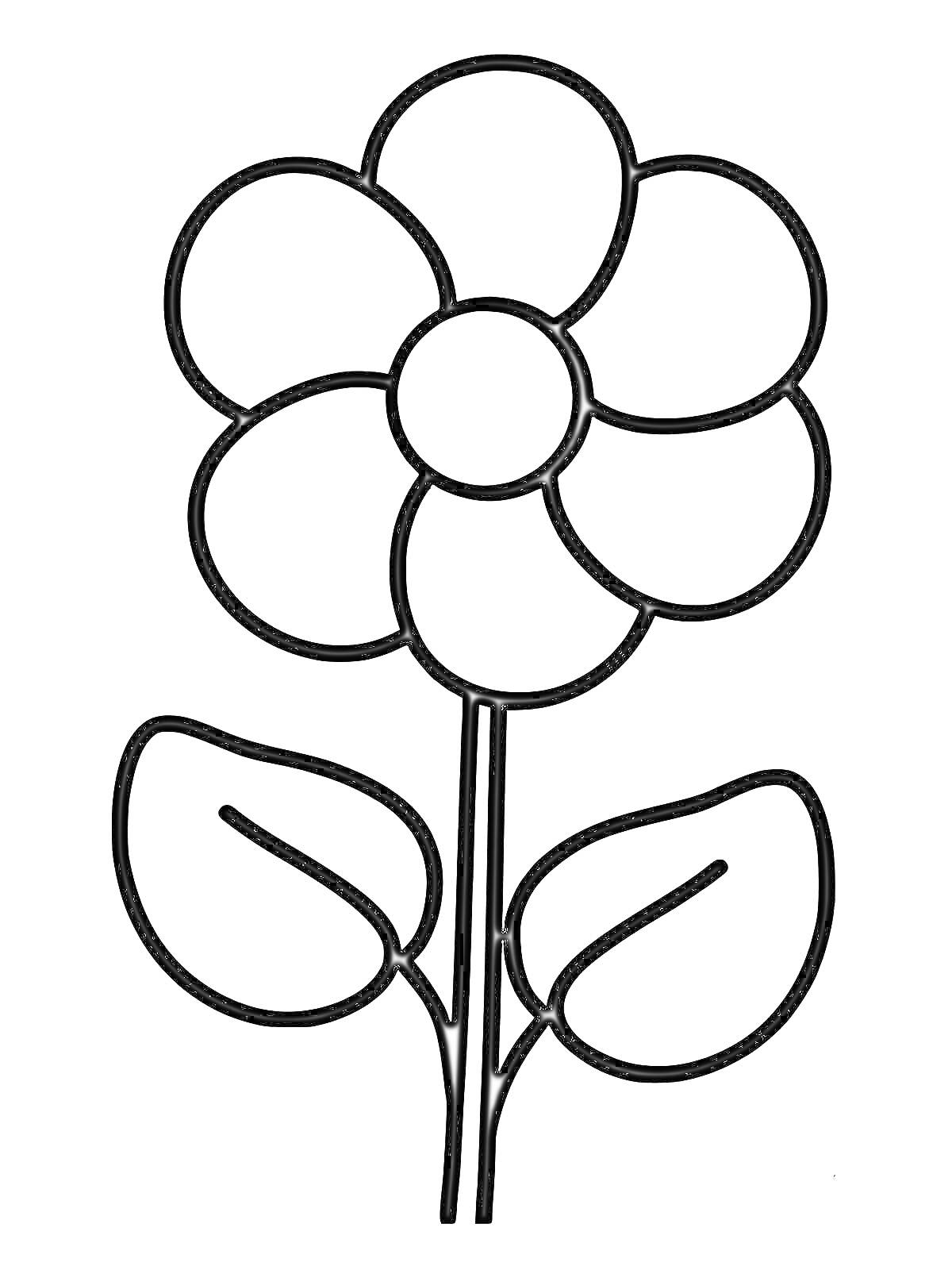 Раскраска Цветок с шестью лепестками и двумя листьями