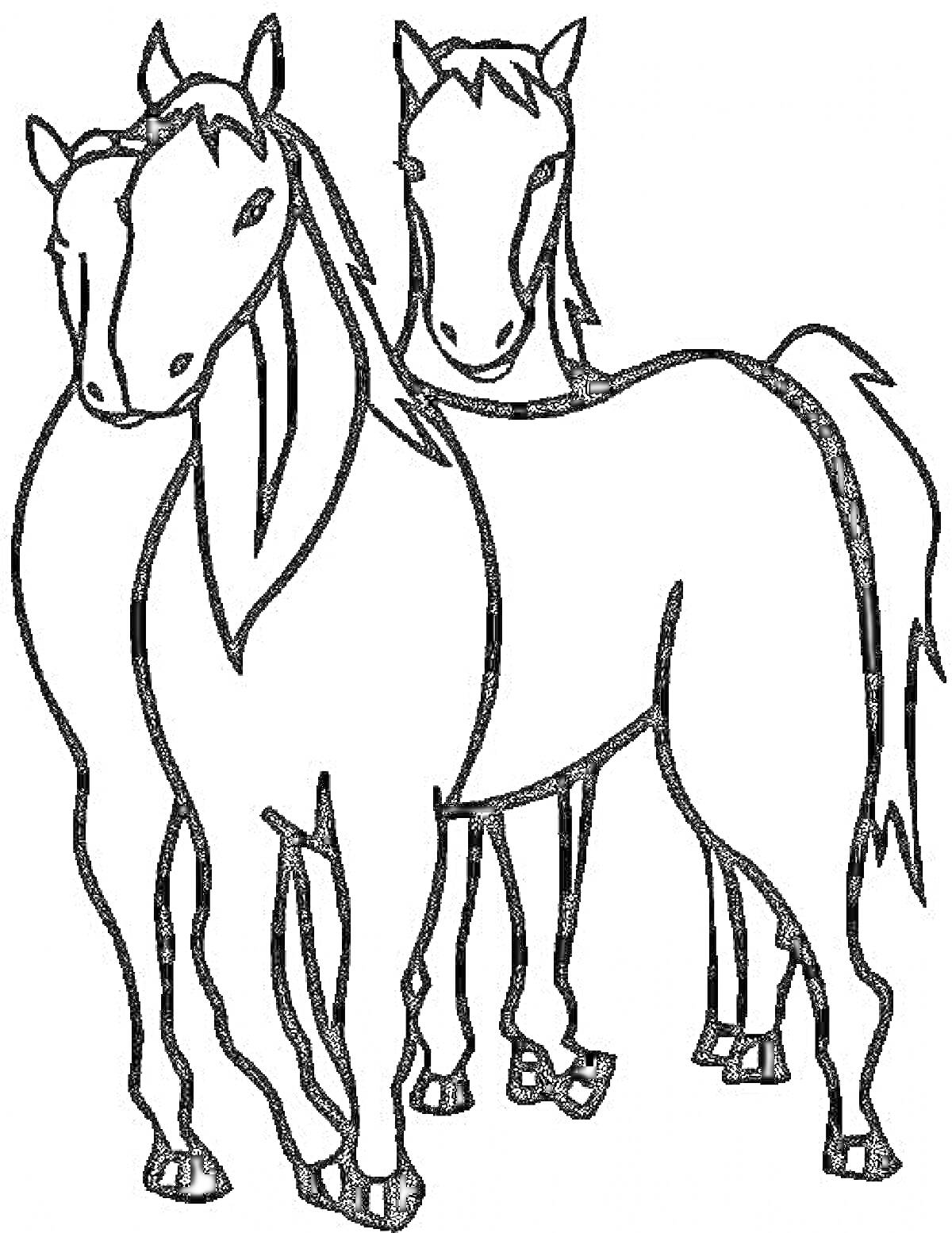 Раскраска три лошади, три стоящие рядом лошади, контурное изображение
