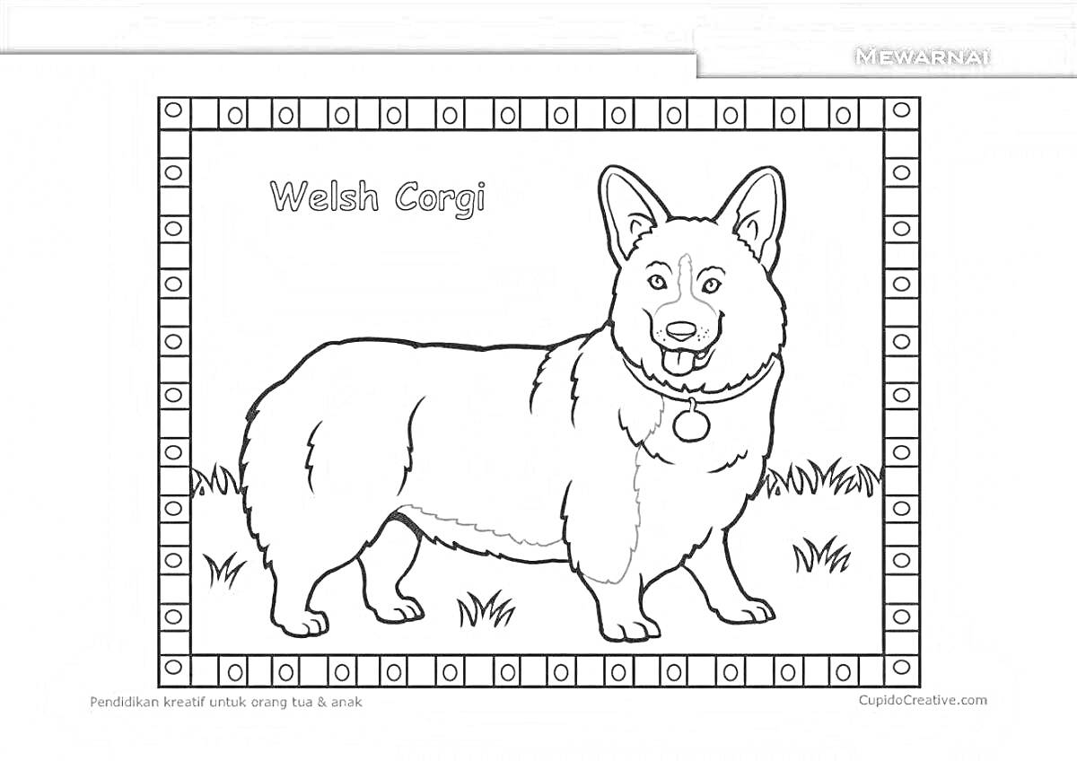 Раскраска Валлийский корги на траве в рамке с квадратами
