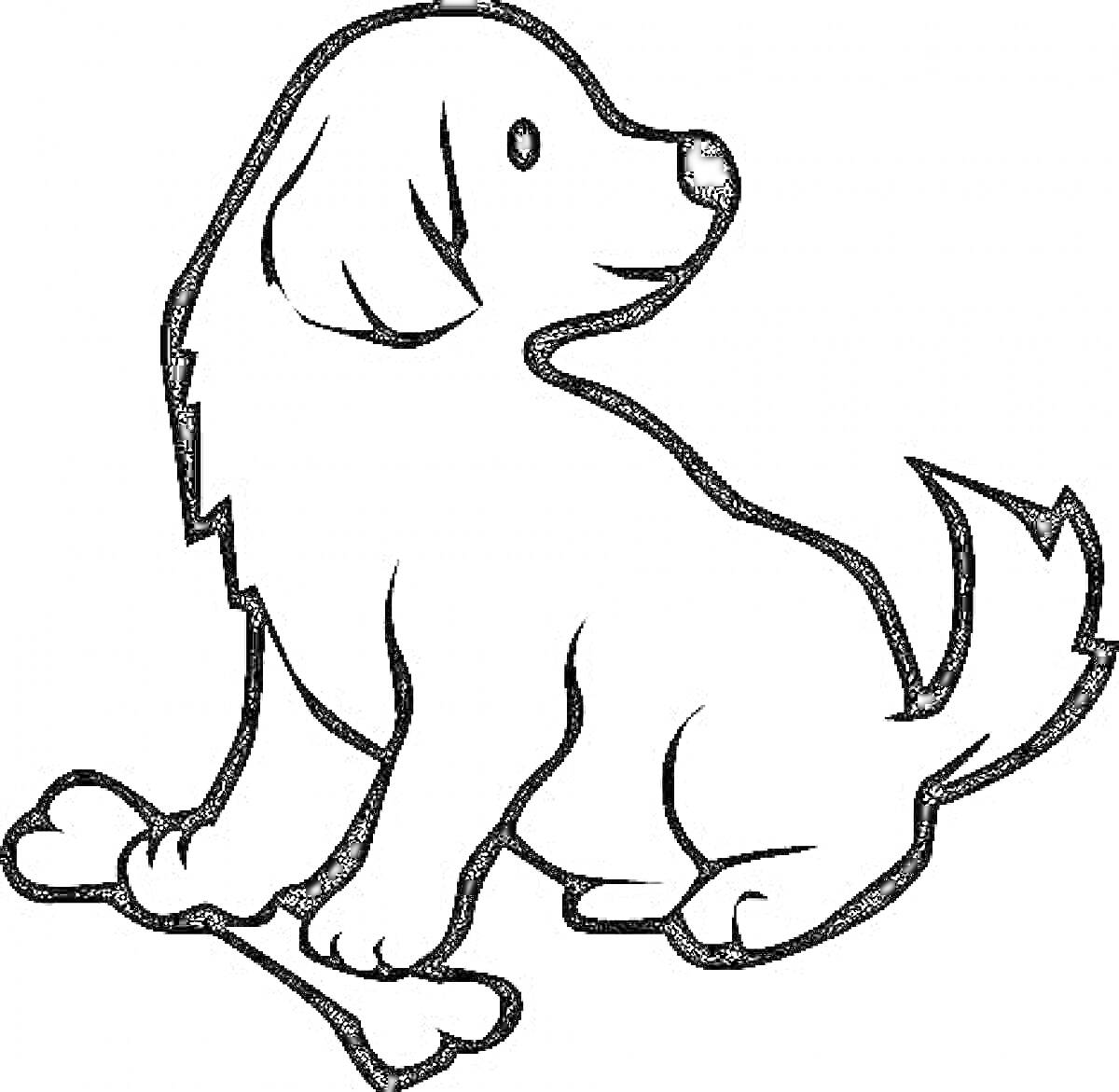 Раскраска Собака с косточкой