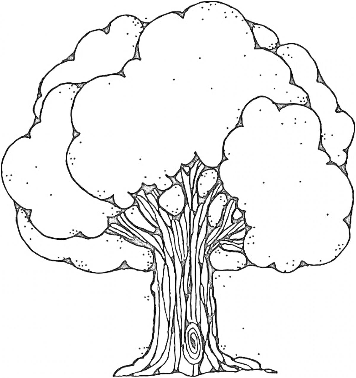 На раскраске изображено: Дуб, Крона, Ствол, Листья, Природа, Для детей
