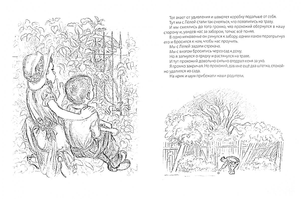 На раскраске изображено: Природа, Деревья, Забор, Кусты, Шляпа, Текст, Растения