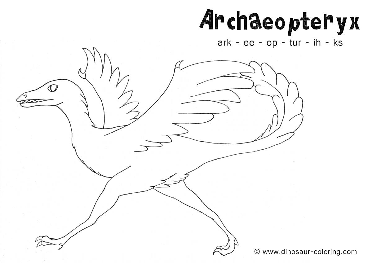 Раскраска Археоптерикс с расправленными крыльями и бегающий