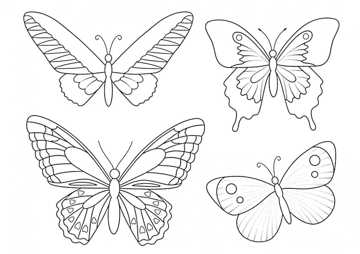 Четыре красивых бабочки с детализированными узорами на крыльях