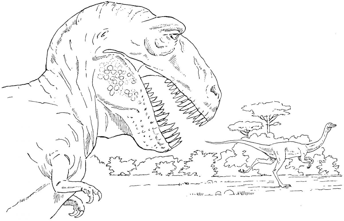На раскраске изображено: Тираннозавр рекс, Природа, Деревья, Растительность, Доисторические времена, Палеонтология, Животные
