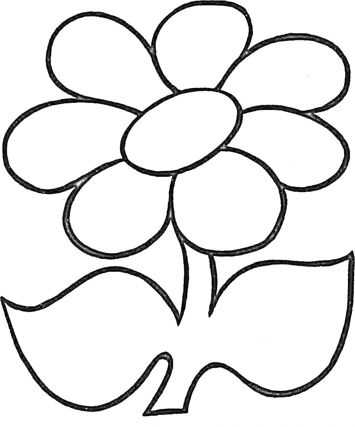 Раскраска Цветок с семью лепестками и двумя листьями