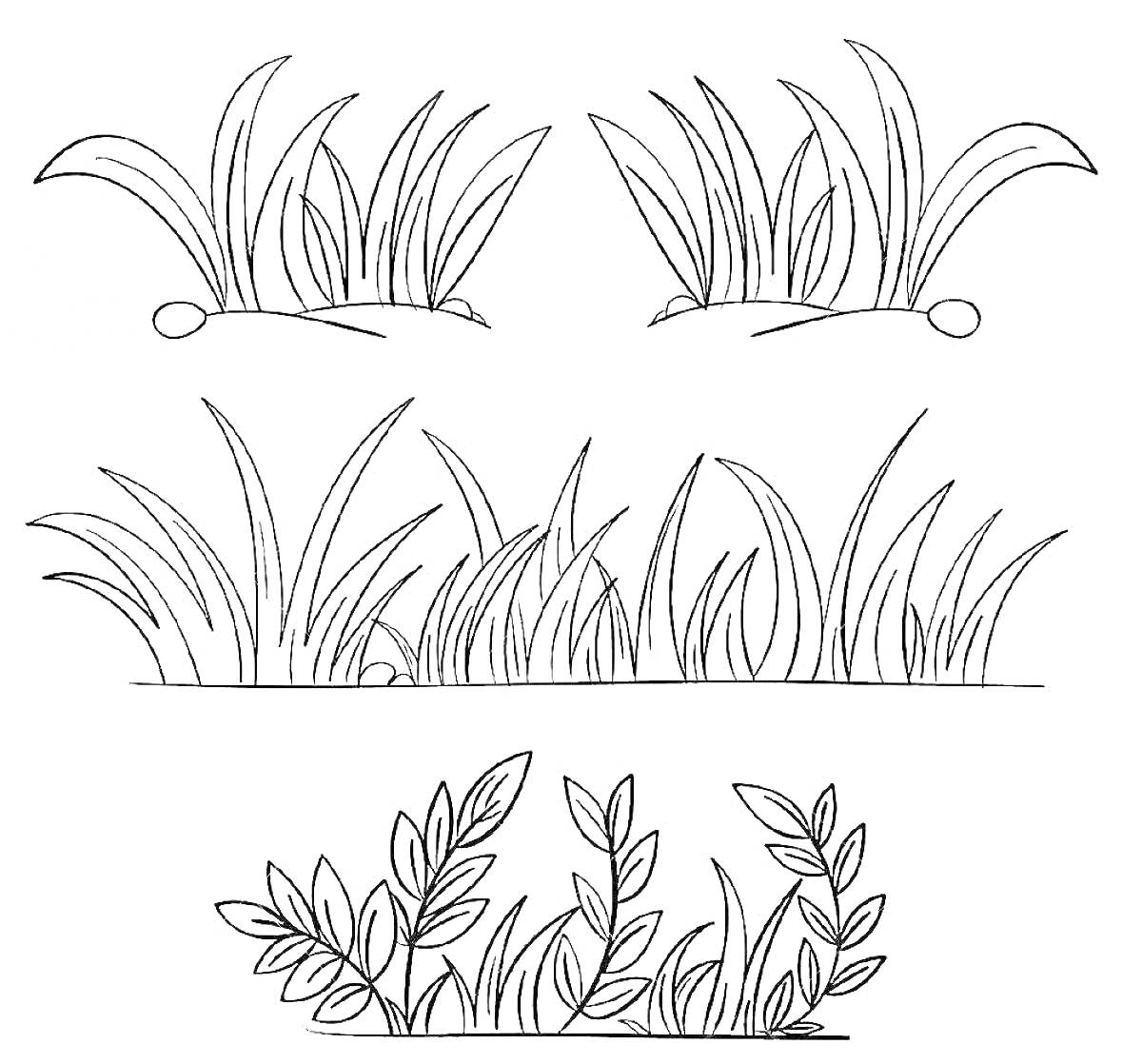 На раскраске изображено: Трава, Клумба, Ботаника, Природа, Растения, Листья