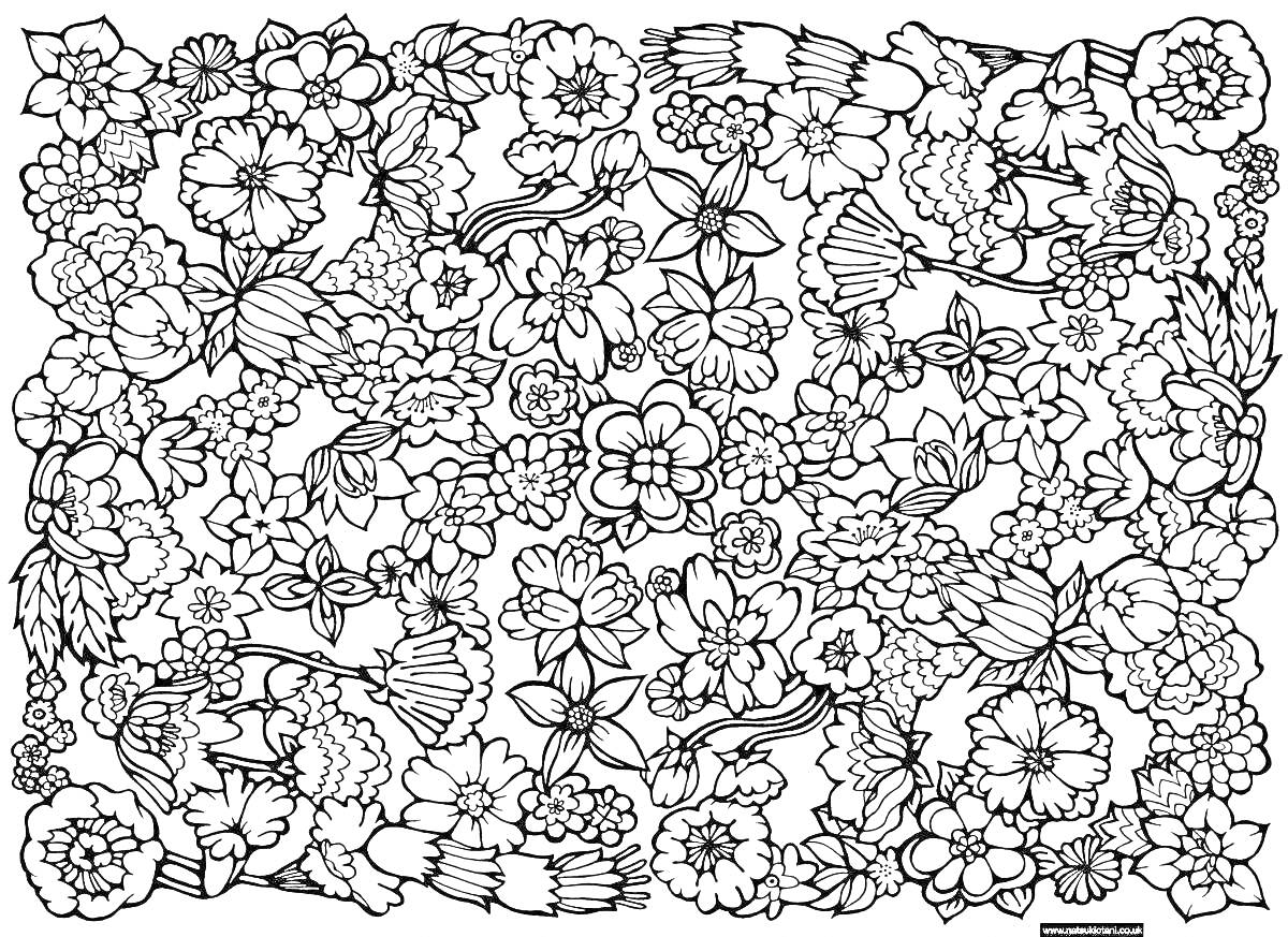 На раскраске изображено: Мелкие цветы, Растения, Листья, Ботаника, Цветочный орнамент