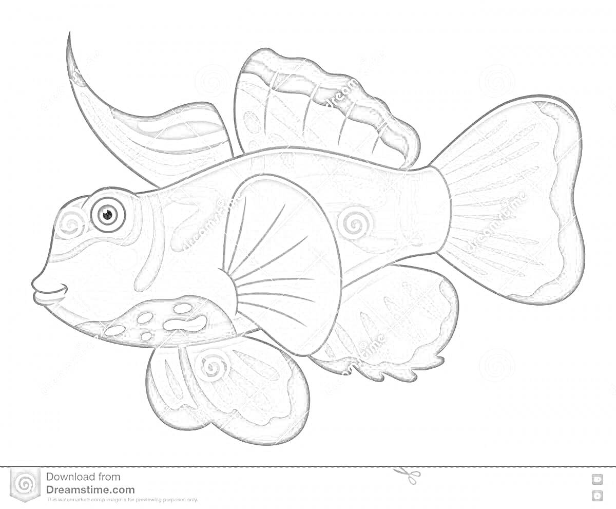 На раскраске изображено: Морская рыба, Морская жизнь, Плавники, Арт для детей