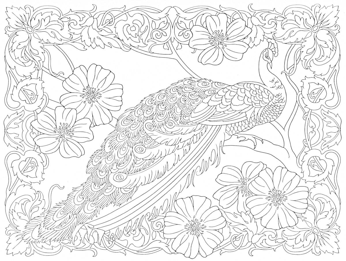 Раскраска Птица павлин, цветы и ветви дерева